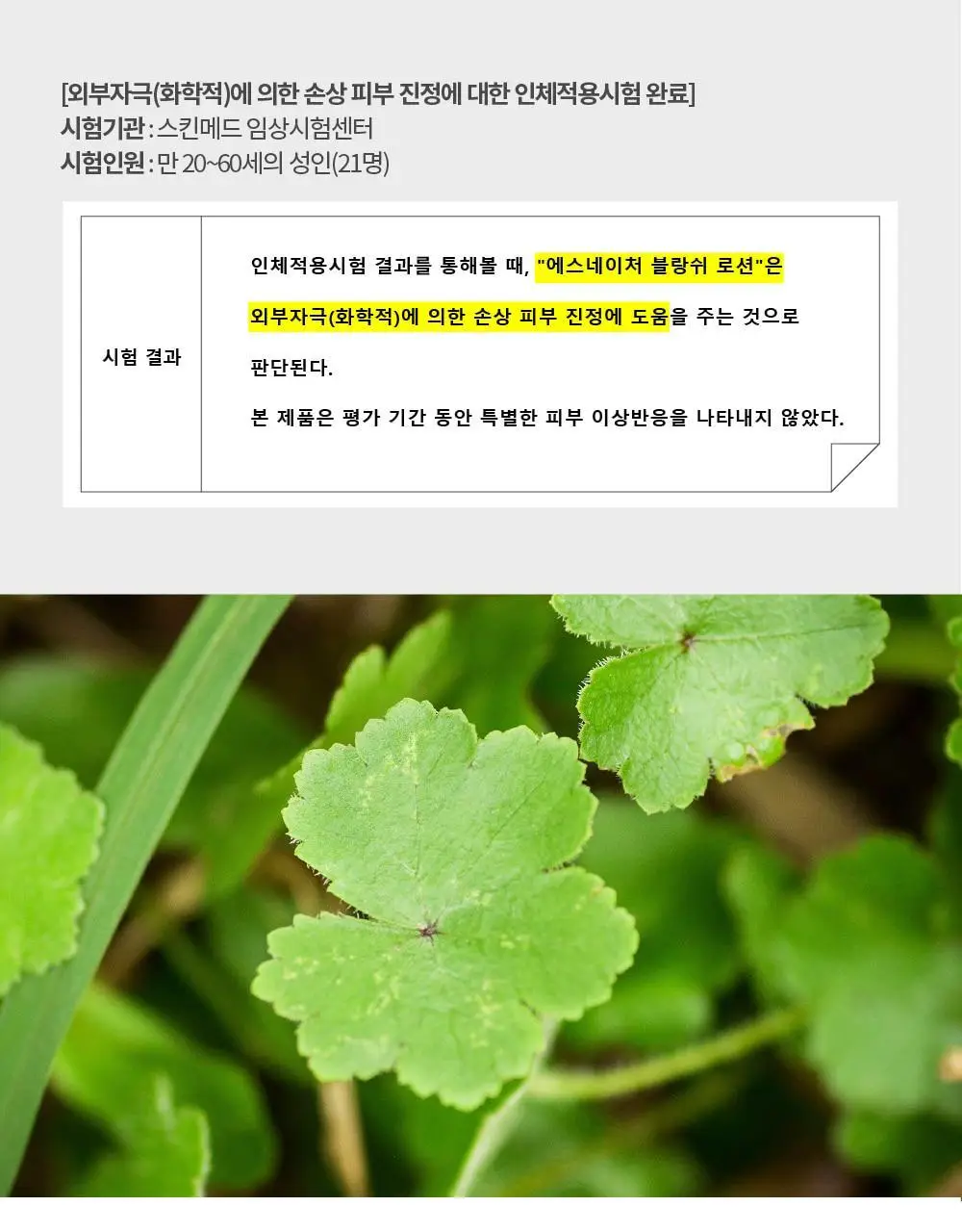 [온가족로션/탄탄장벽] 에스네이처 블랑쉬 올인원 로션 200ml 상세페이지 20